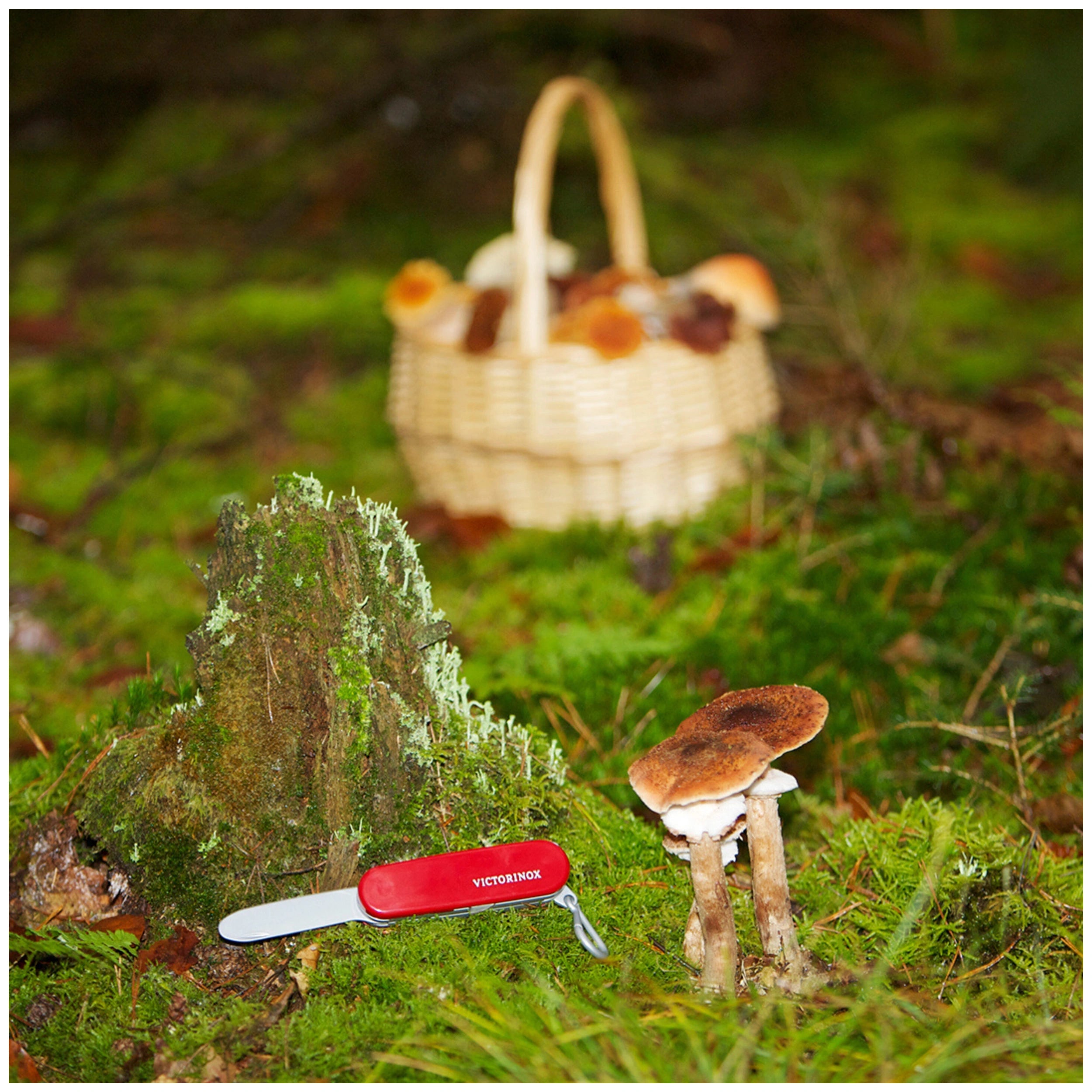 Theo Klein - Victorinox - Swiss Knife - Scouting