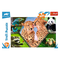 Trefl - Naturaleza Hermosa - Puzzles - +5 - TRF16424