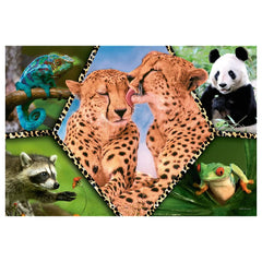 Trefl - Naturaleza Hermosa - Puzzles - +5 - TRF16424