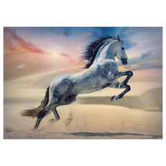 Trefl - Rompecabezas de 1000 Piezas - Puzzles - 14 - TRF10790