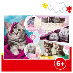 Trefl - 160 Piece Puzzle - Adorable Kittens - Puzzles Age +6 - TRF15371