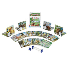 Board game set with cards and a cylindrical component on a white background