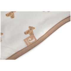 Jollein Bib Bandana Teddy Bear 2 Pack features a teddy bear design on retail packaging without visible text clarity.