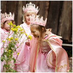 Liontouch - Capa de la Reina - La Línea Reina Rosa - Profesiones de Imaginación y Juego de Roles