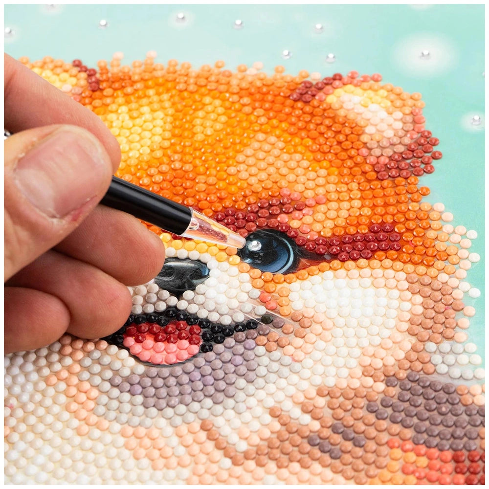 NICE Diamantiny Pets Coloring Arts Crafts features a textured surface in vibrant colors, with a hand drawing using a black pe