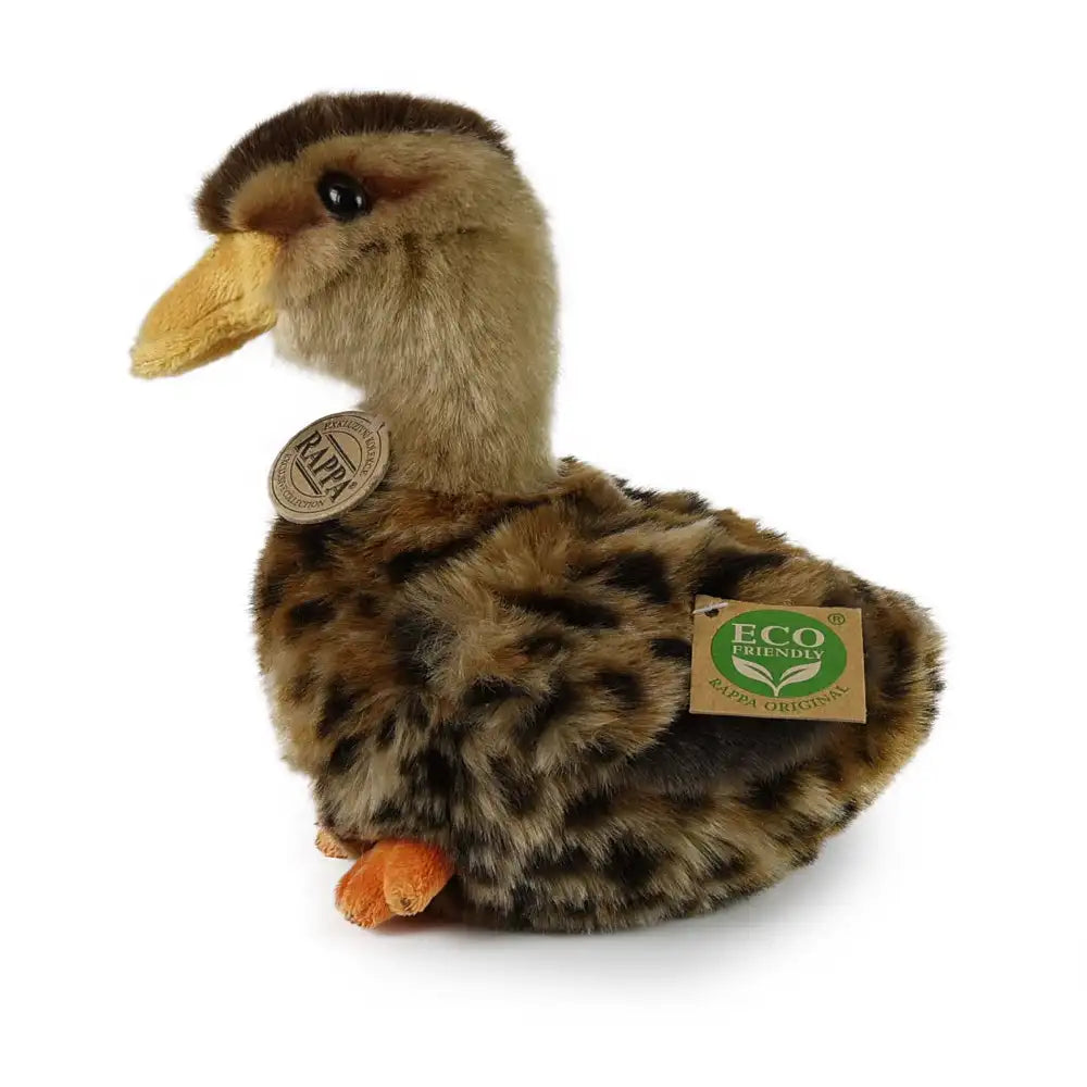 Rappa - Pato Malardo de Peluche Ecológico Exclusivo - Juguetes de Peluche - +0M - RAP - ECO - DUCK - 19 - 69525066