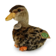 Rappa - Pato Malardo de Peluche Ecológico Exclusivo - Juguetes de Peluche - +0M - RAP - ECO - DUCK - 19 - 69525066