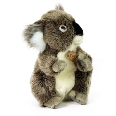 Rappa - Koala de Peluche - Peluches - +0M - RAP - ECO - KOALA - 22 - 69521187