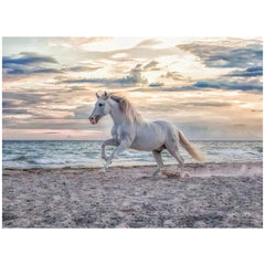 Ravensburger - Rompecabezas 500 Piezas Caballo en la Playa - Puzzles