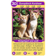 Ravensburger - Tierquartett Katzen - Card Game
