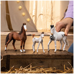 Schleich - Horse Club - Marwari Stallion - Action & Toy Figures - 14898