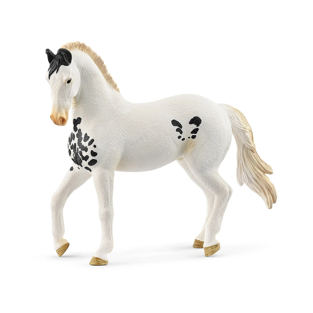 Schleich - Horse Club - Marwari Stallion - Action & Toy Figures - 14898