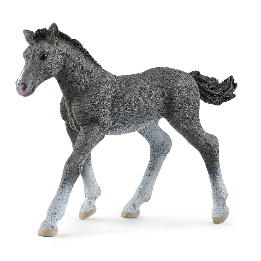 Schleich - Horse Club - Trakehner Colt - Action & Toy Figures - 13944