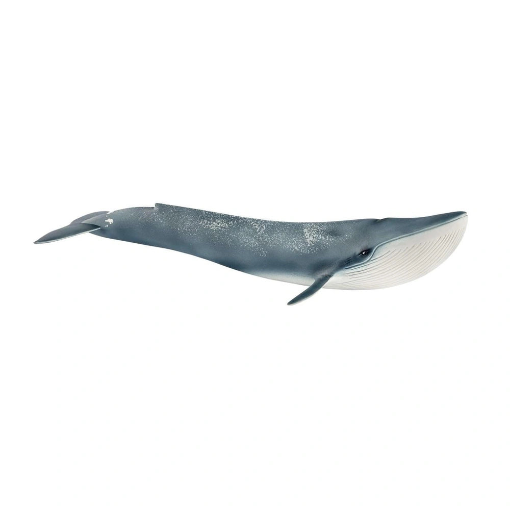 Schleich - Vida Salvaje - Ballena Azul - Figuras de Acción y Juguetes - 14806