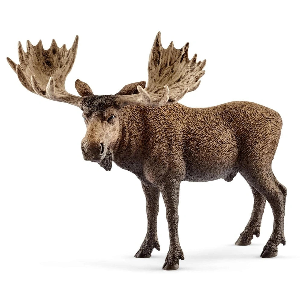 Schleich - Wild Life - Bull Moose - Action & Toy Figures - 14781