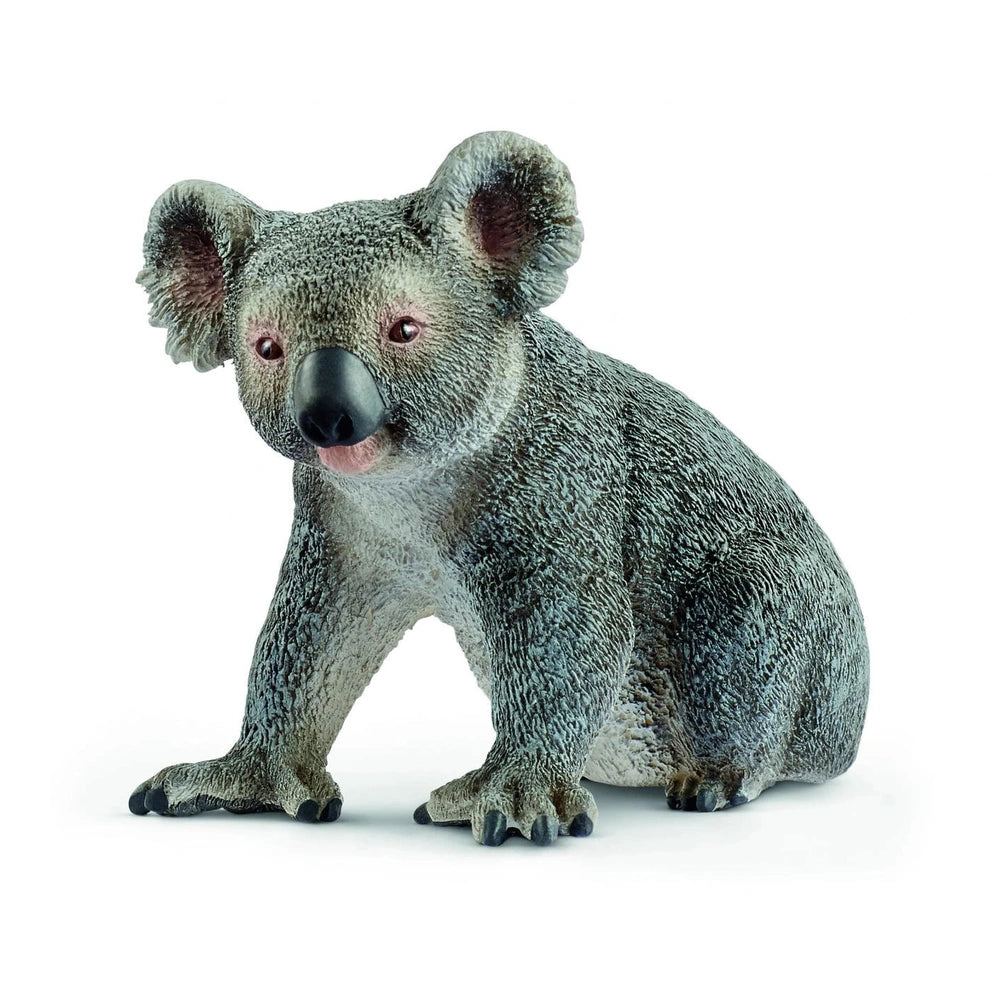 Schleich - Wild Life - Koala - Action & Toy Figures - 14815