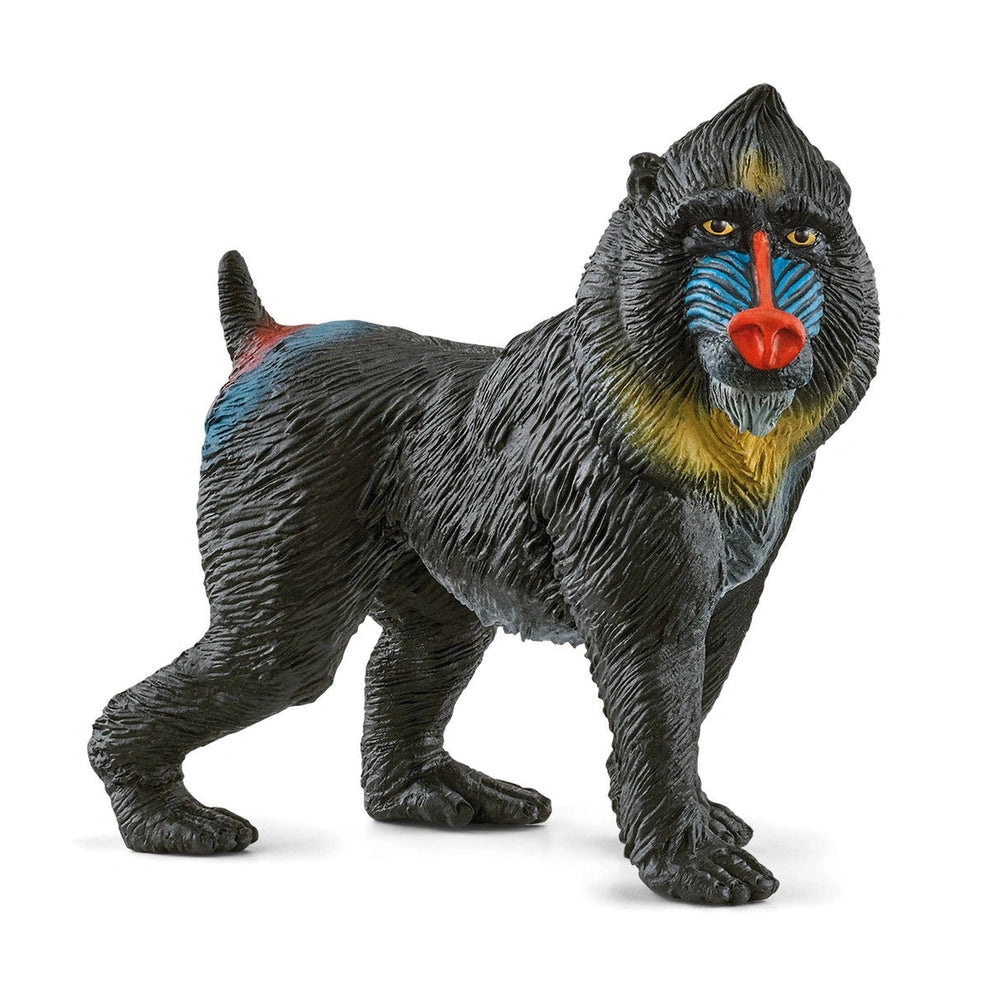 Schleich - Wild Life - Mandrill - Action & Toy Figures - 14856