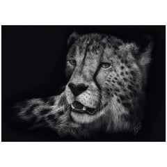 Schmidt Spiele - Speed ​​- Cheetah, bajo el signo de la gracia 1000 piezas - rompecabezas