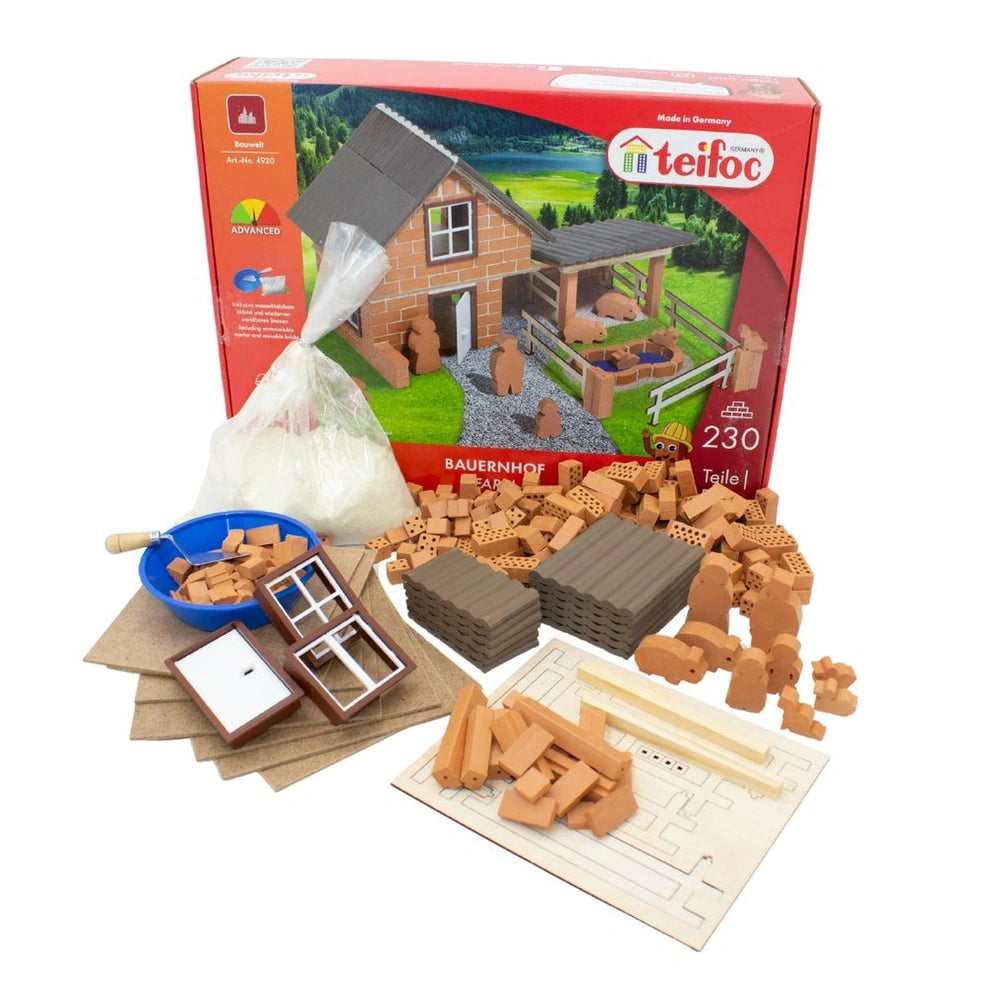 Teifoc construction set featuring wooden planks, bricks, and a small plastic house, all displayed in an open box.